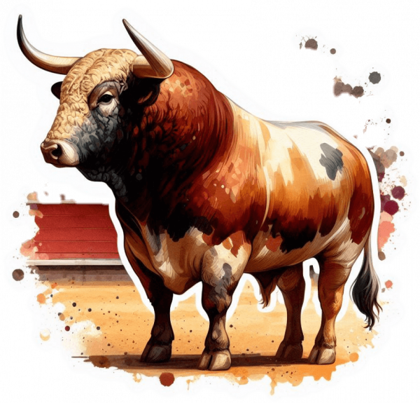 Toro de Lidea Sardo 03
