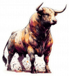 Toro de Lidea Sardo 04