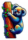 Koala 08