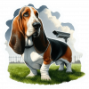 Basset hound 01