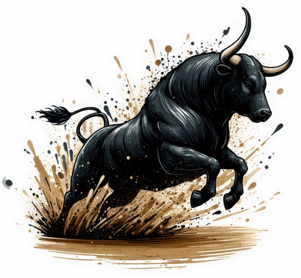 Toro de Lidia Negro 02