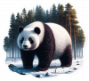 Oso Panda 03