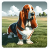 Basset hound 04