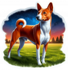 Basenji 02