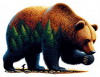 Oso Pardo Impresionista 03