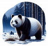 Oso Panda 04