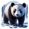 Oso Panda 02