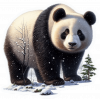 Oso Panda 05