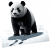 Oso Panda 01
