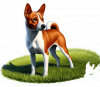 Basenji 01