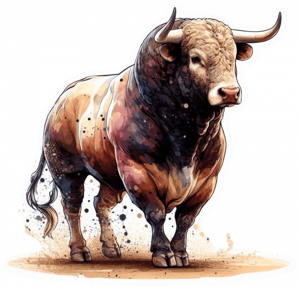 Toro de Lidea Sardo 02