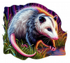 Opossum 02