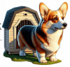 Corgi galés de Pembroke 03