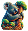 Koala 01