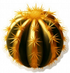 Acuarela de Cactus de Oro 04