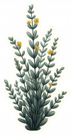 Artemisa 04