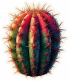 Cactus de Barril 03