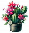 Cactus de Navidad 03
