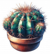 Cactus de Barril 02