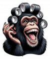 chimpance con rrollos 03