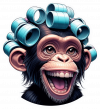 chimpance con rrollos 02