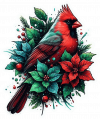 Cardenal de Navidad en Poinsettias 06
