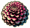 Dalia en Arte Pop 02