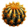 Acuarela de Cactus de Oro 02