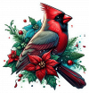 Cardenal de Navidad en Poinsettias 04