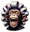 chimpance con rrollos 05