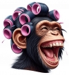 chimpance con rrollos 04
