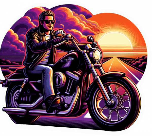 9862-Harley-Davidson Sportster 06 Harley-Davidson Sportster 06