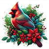 Cardenal de Navidad en Poinsettias 01