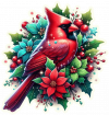 Cardenal de Navidad en Poinsettias 03