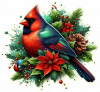 Cardenal de Navidad en Poinsettias 02