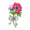 Anemone