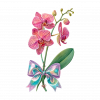 Orquideas