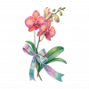 Orquideas