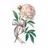 Peonias