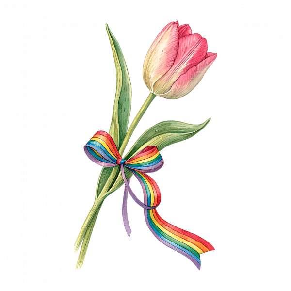 Tulipan