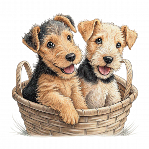 Airedale terrier Cachorros