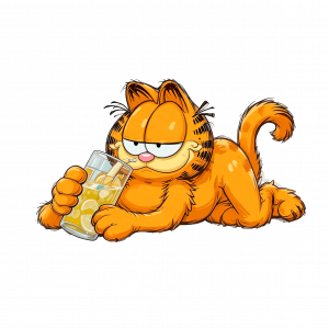 Garfield Amigos