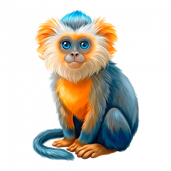 11836 Saki calvo-min Saki calvo