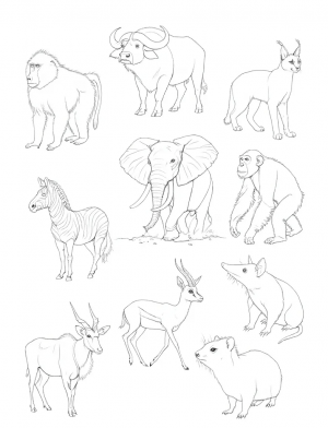 Plantilla para Colorear