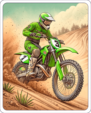 Kawasaki,kx500