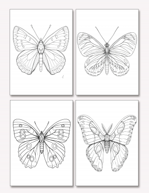 Plantilla De Mariposas