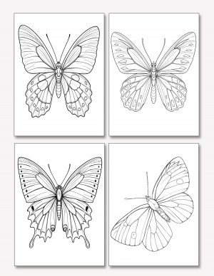 Plantilla De Mariposas