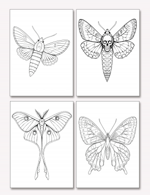 Plantilla De Mariposas