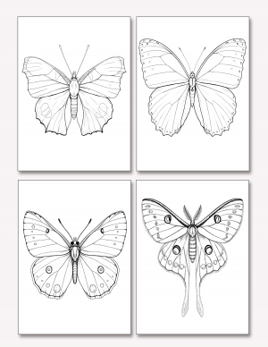 Plantilla De Mariposas