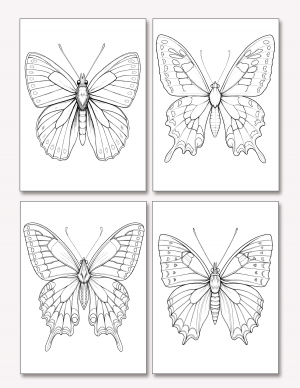 Plantilla De Mariposas